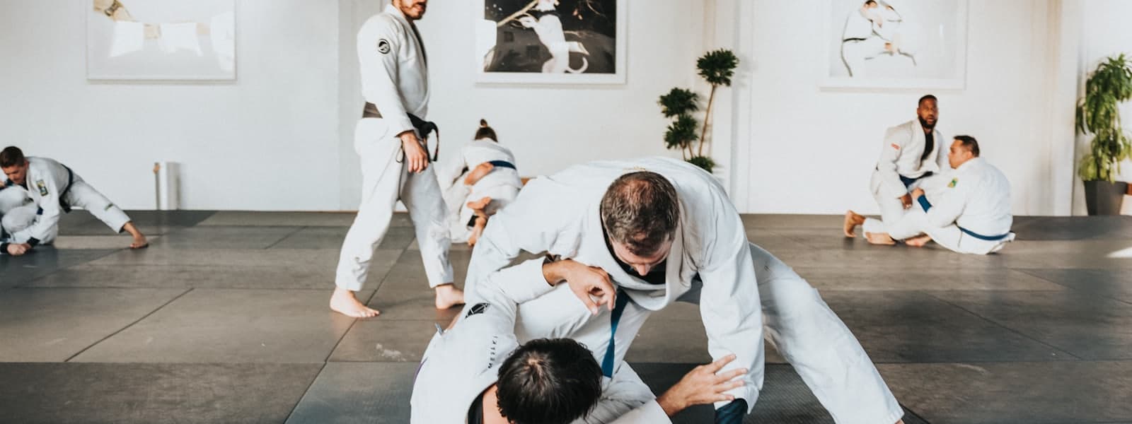 Adults training together in a martial arts academy